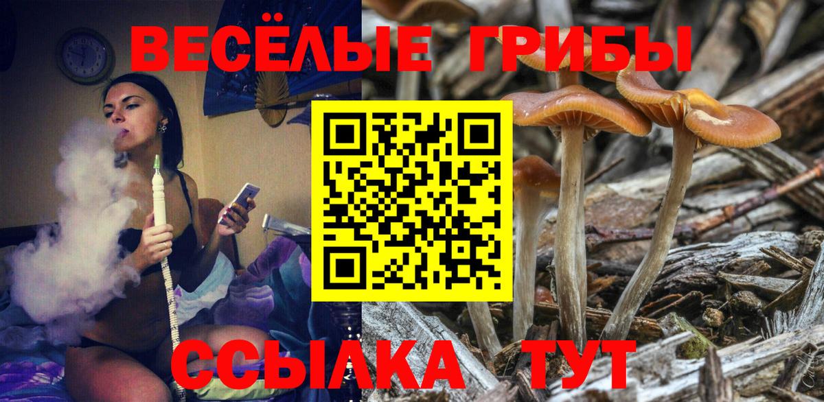 Псилоцибиновые грибы Cubensis Амурск