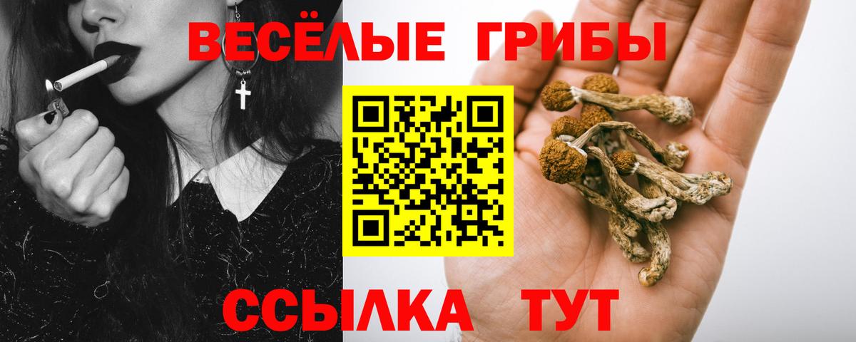 Амурск  Галлюциногенные грибы прущие грибы  Вход с VPN  Псилоцибиновые грибы прущие грибы 